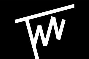 The Women’s Network Logo